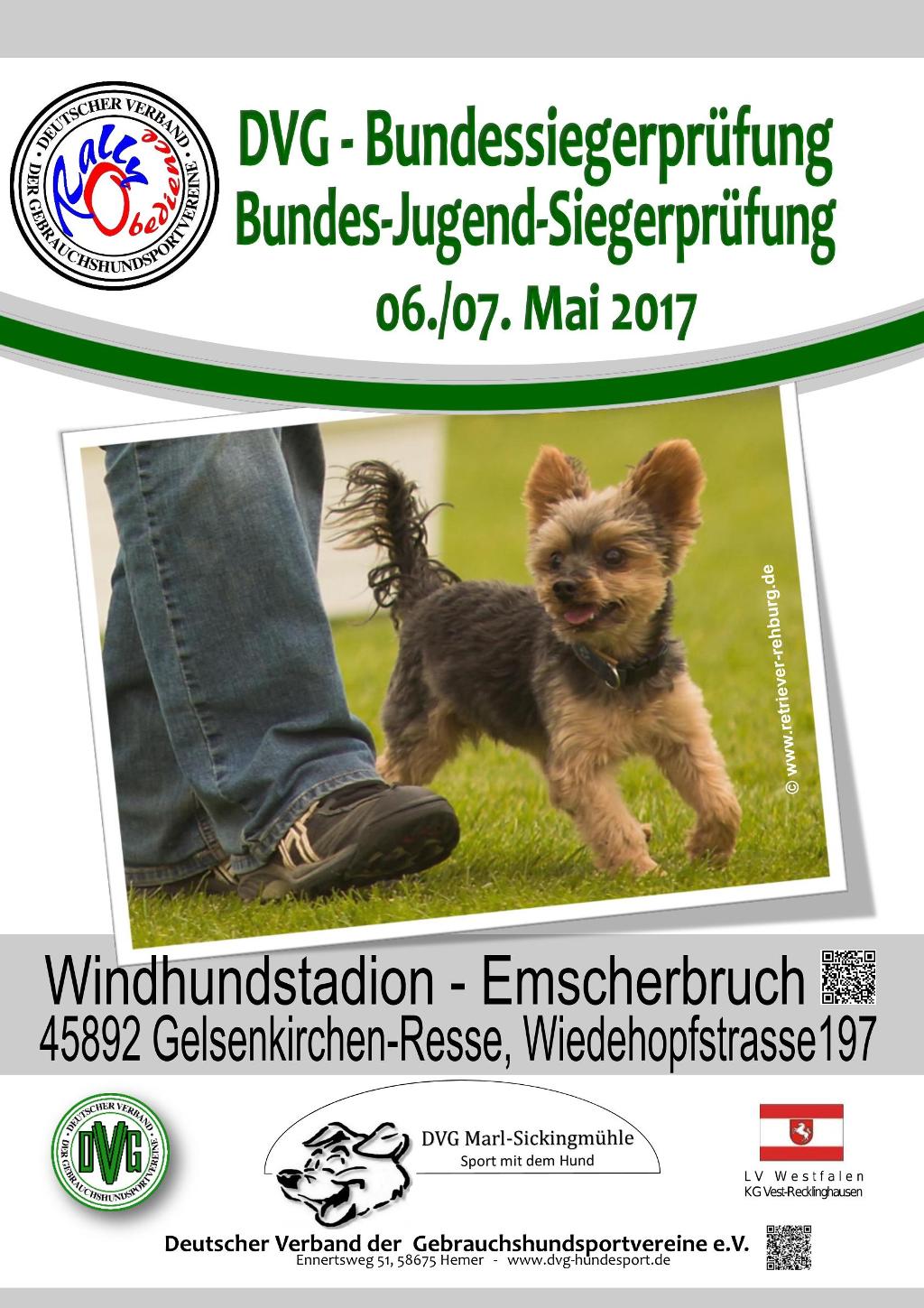 plakat_dvg_bsp_ro_2017_12-07-16_v1.pdf