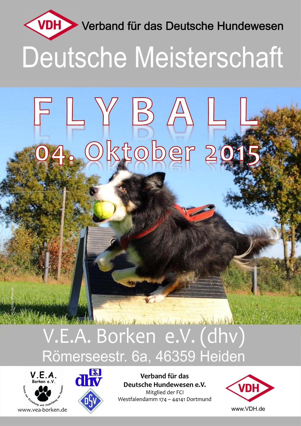 plakat_vdh_dm_flyball_2015_vers_17-06-2015.jpg