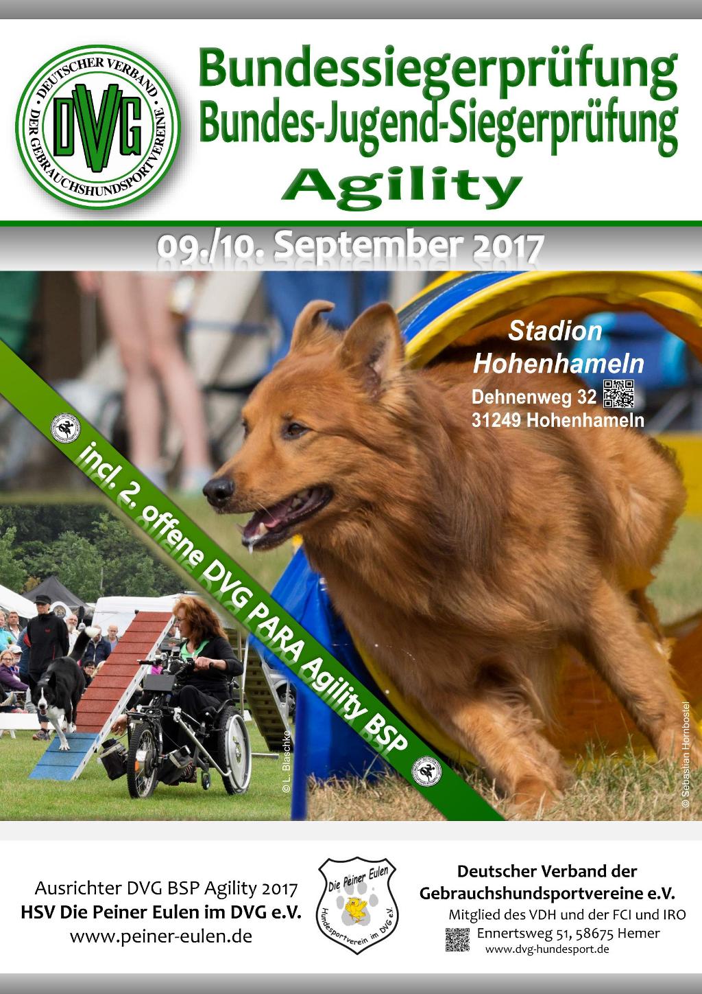 plakat_dvg_bsp_agility_2017_08-02-17-1.jpg