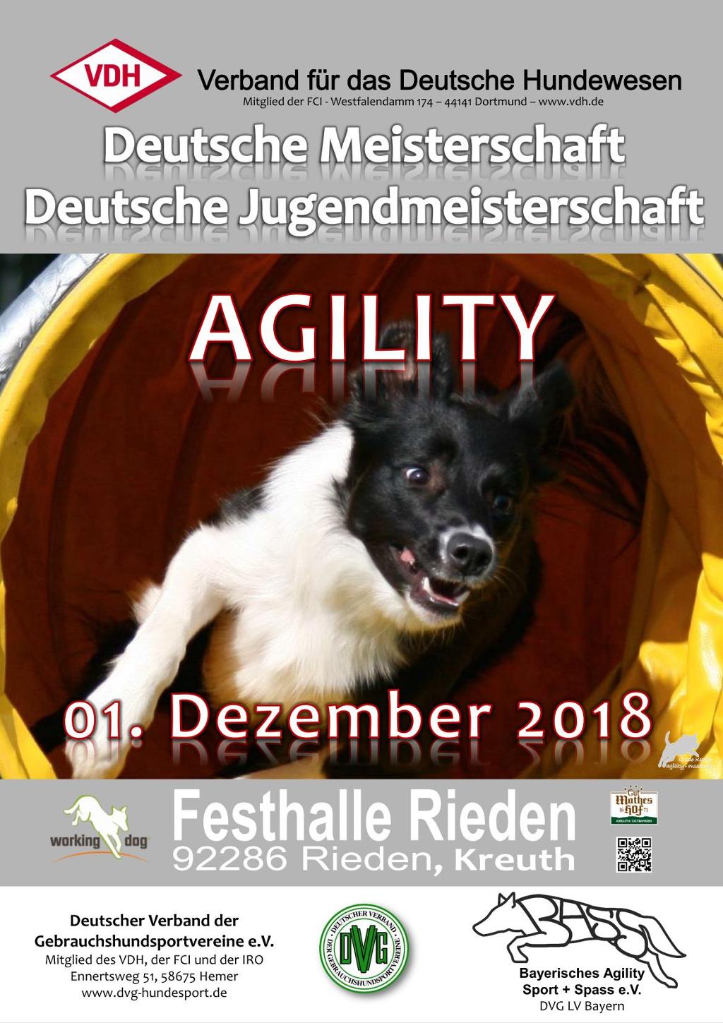 plakat_vdh_dm_agility_2018_14-05-18_v1-1.jpg