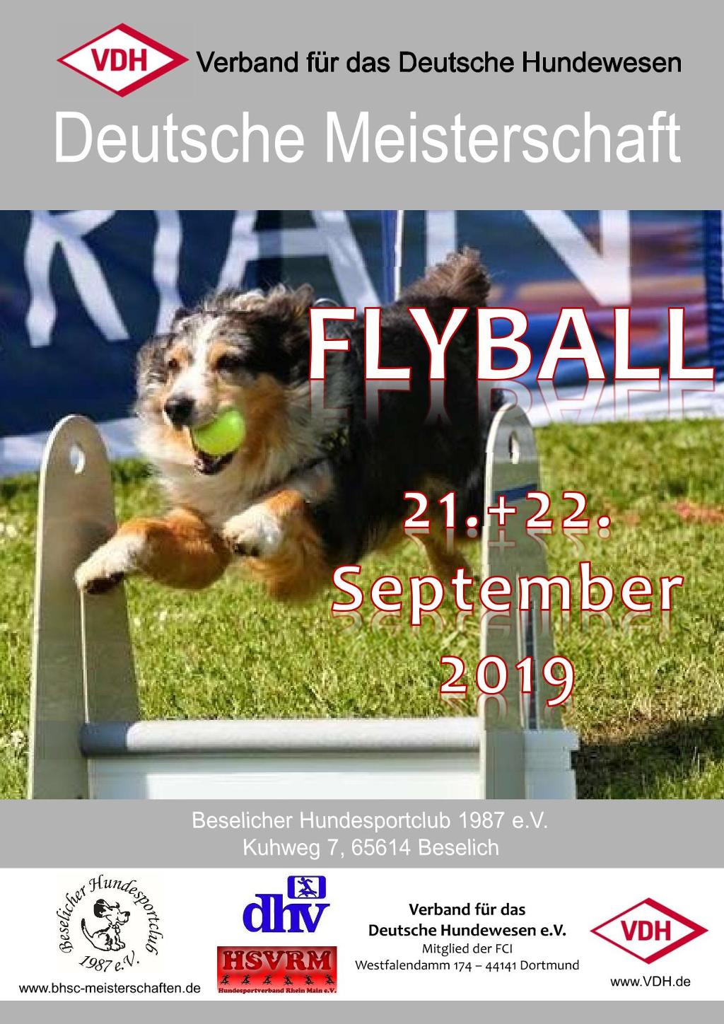 plakat_vdh_dm_flyball_2019.pdf