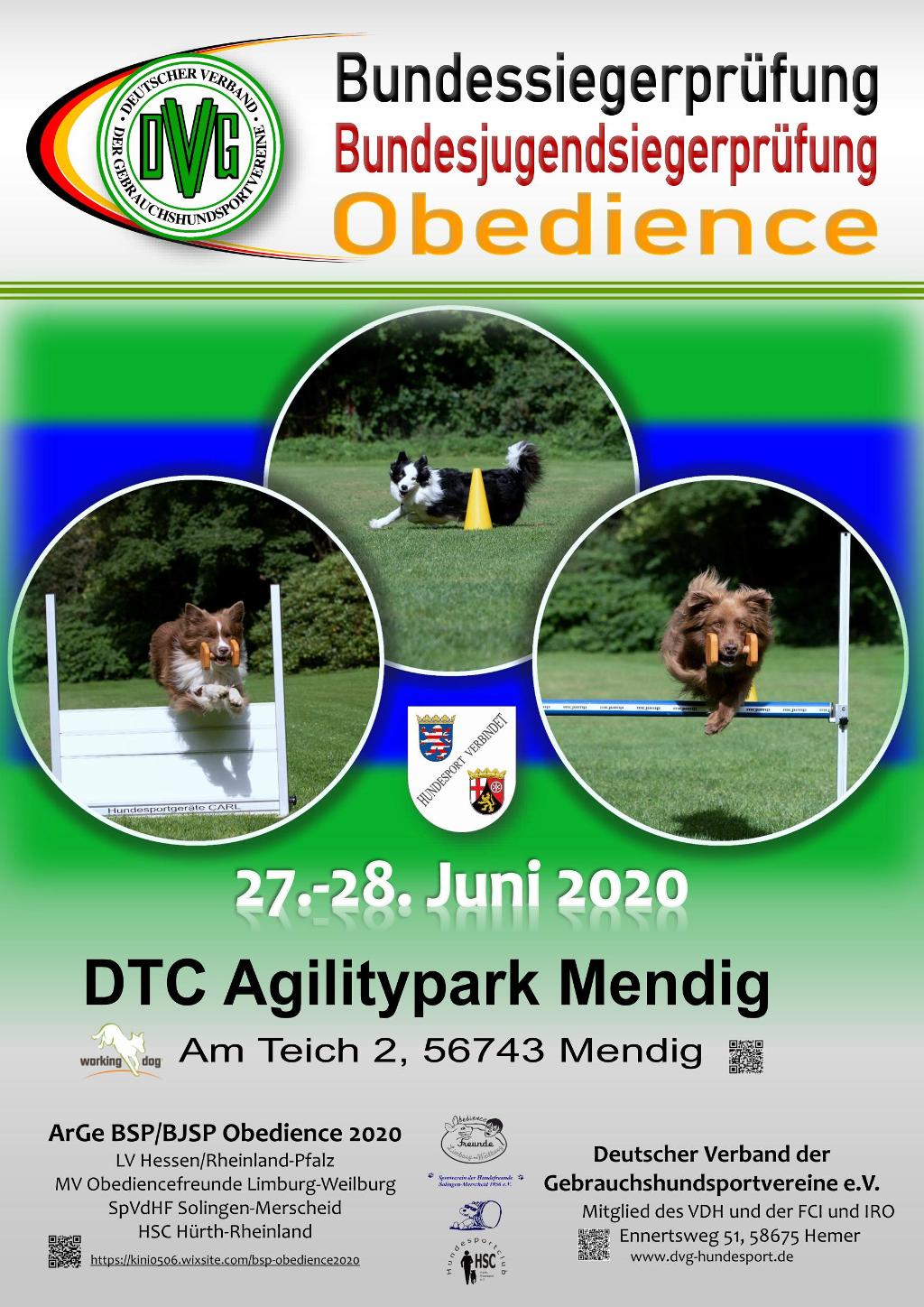 plakat_dvg-bsp-obedience_2020_v2.jpg