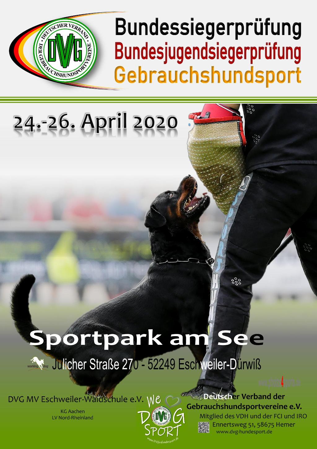 Plakat_DVG-BSP-GHS 2020 V3.pdf