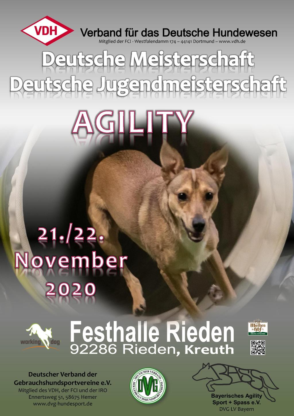 plakat_vdh_dm_agility_2020_2020-01-24_v2-1.jpg