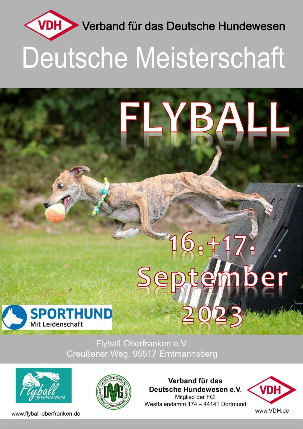 plakat vdh dm flyball 2023-1