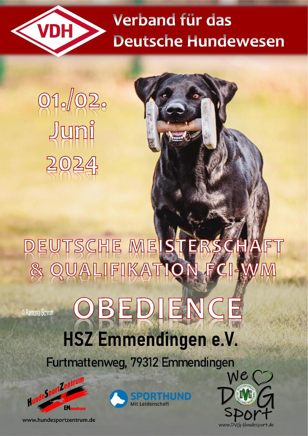 plakat vdh dm obedience 2024 2023 05 19 v1