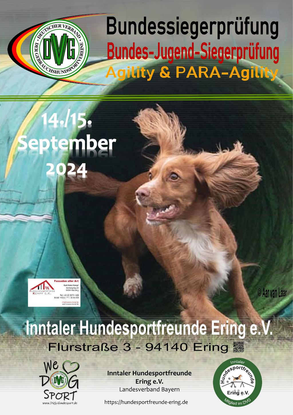 plakat dvg bsp agility 2024 v1 2023 10 23